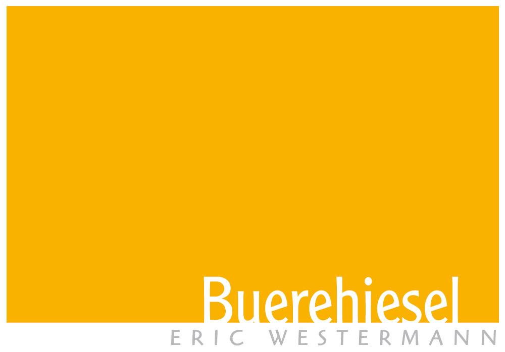 Logo Buerehiesel HD