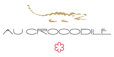 Logo Crocodile moyen