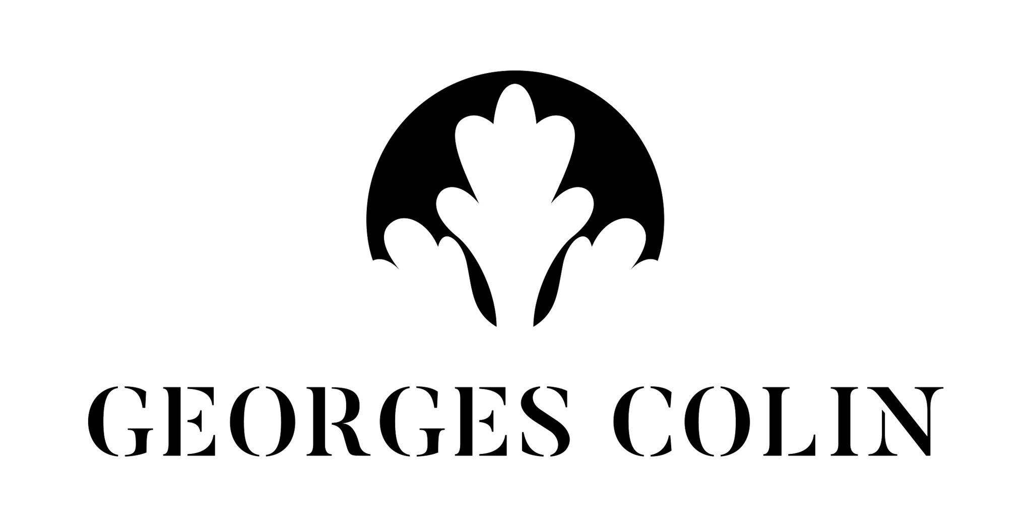 Logo Georges Colin